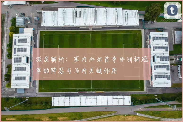 深度解析：塞内加尔首夺非洲杯冠军的阵容与马内关键作用